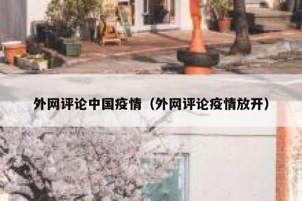 外网评论中国疫情（外网评论疫情放开） 第1张