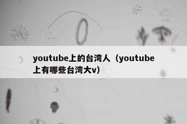 youtube上的台湾人（youtube上有哪些台湾大v） 第1张