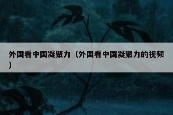 外国看中国凝聚力（外国看中国凝聚力的视频） 第1张