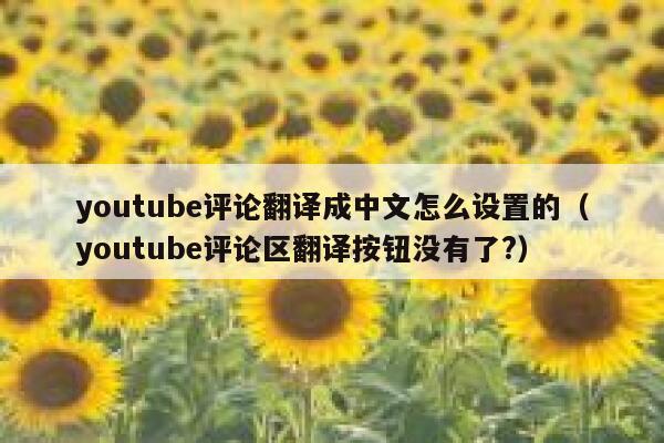 youtube评论翻译成中文怎么设置的（youtube评论区翻译按钮没有了?） 第1张