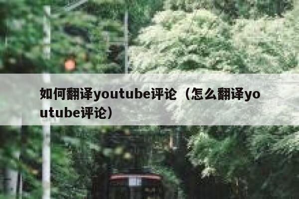如何翻译youtube评论（怎么翻译youtube评论） 第1张