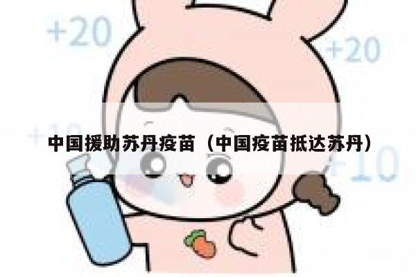 中国援助苏丹疫苗（中国疫苗抵达苏丹） 第1张