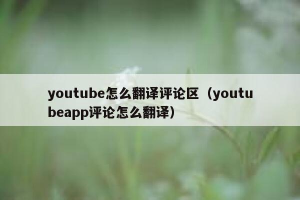 youtube怎么翻译评论区（youtubeapp评论怎么翻译） 第1张
