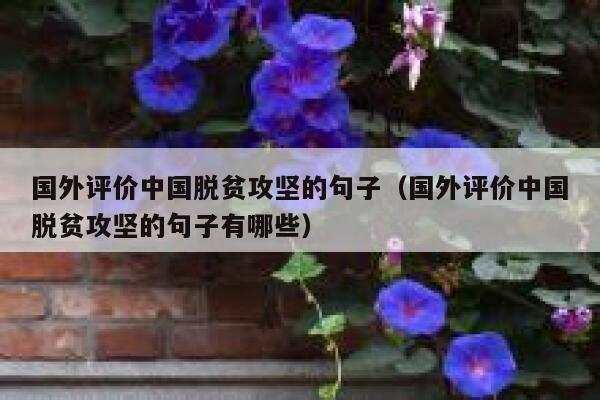 国外评价中国脱贫攻坚的句子（国外评价中国脱贫攻坚的句子有哪些） 第1张