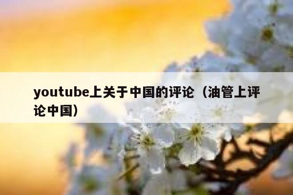 youtube上关于中国的评论（油管上评论中国） 第1张