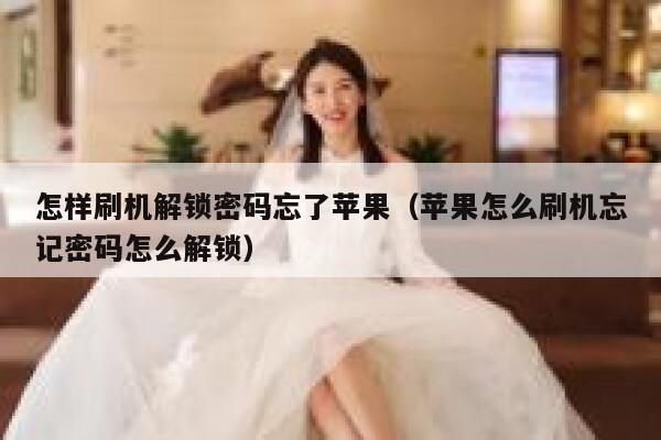 怎样刷机解锁密码忘了苹果（苹果怎么刷机忘记密码怎么解锁） 第1张