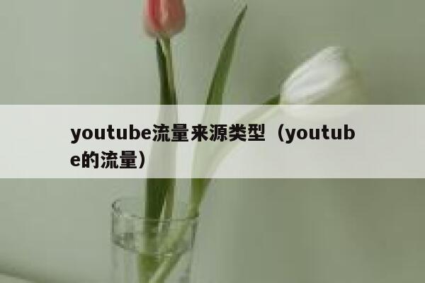 youtube流量来源类型（youtube的流量） 第1张