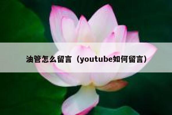 油管怎么留言(youtube如何留言) 第1张 油管怎么留言(youtube如何留言) 第1张