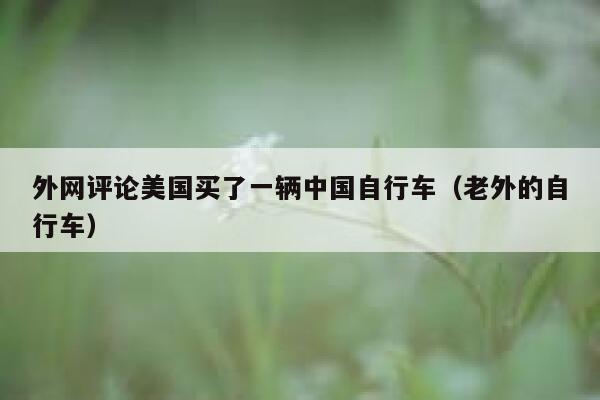 外网评论美国买了一辆中国自行车(老外的自行车) 第1张 外网评论美国买了一辆中国自行车(老外的自行车) 第1张