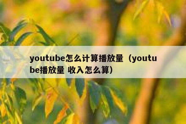youtube怎么计算播放量(youtube播放量 收入怎么算) 第1张 youtube怎么计算播放量(youtube播放量 收入怎么算) 第1张