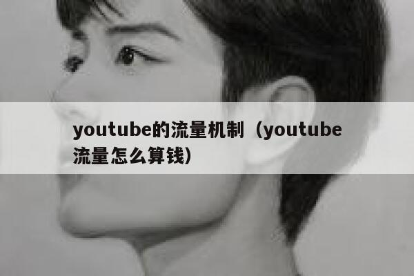 youtube的流量机制（youtube流量怎么算钱） 第1张