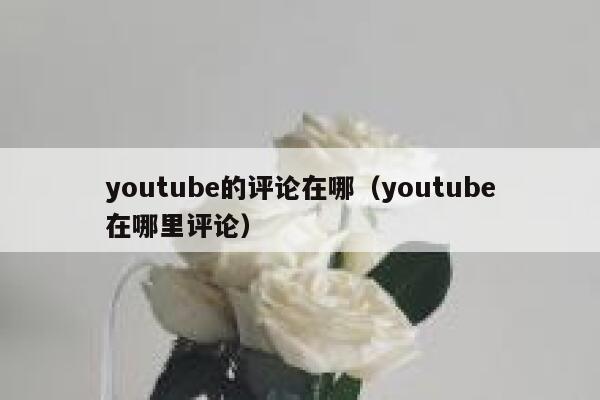 youtube的评论在哪(youtube在哪里评论) 第1张 youtube的评论在哪(youtube在哪里评论) 第1张