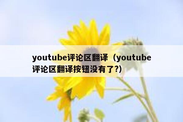 youtube评论区翻译（youtube评论区翻译按钮没有了?） 第1张