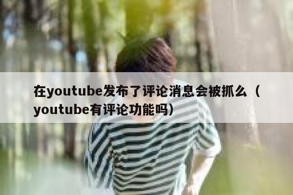 在youtube发布了评论消息会被抓么(youtube有评论功能吗) 第1张 在youtube发布了评论消息会被抓么(youtube有评论功能吗) 第1张