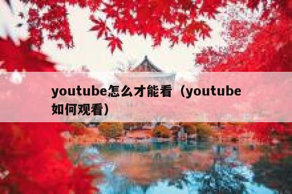 youtube怎么才能看（youtube如何观看） 第1张