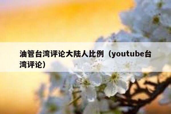 油管台湾评论大陆人比例（youtube台湾评论） 第1张