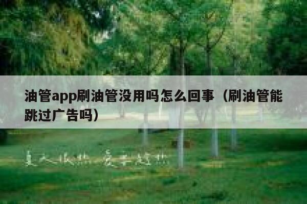 油管app刷油管没用吗怎么回事（刷油管能跳过广告吗） 第1张