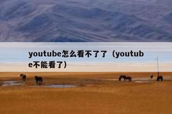 youtube怎么看不了了（youtube不能看了） 第1张