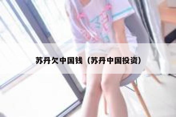 苏丹欠中国钱（苏丹中国投资） 第1张