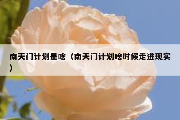 南天门计划是啥（南天门计划啥时候走进现实） 第1张