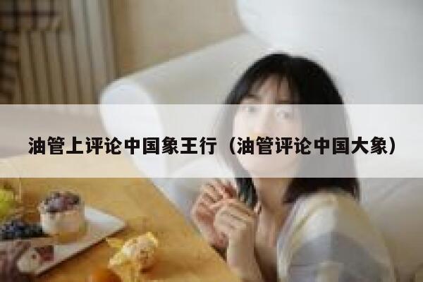 油管上评论中国象王行（油管评论中国大象） 第1张
