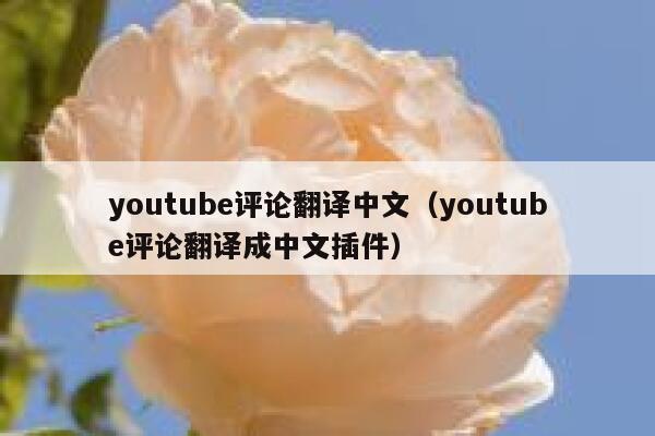 youtube评论翻译中文（youtube评论翻译成中文插件） 第1张