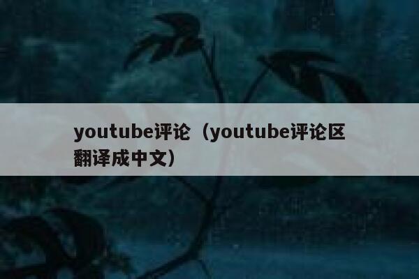 youtube评论（youtube评论区翻译成中文） 第1张
