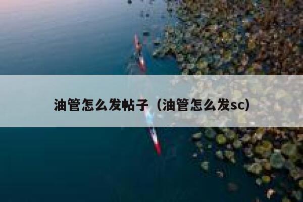 油管怎么发帖子（油管怎么发sc） 第1张