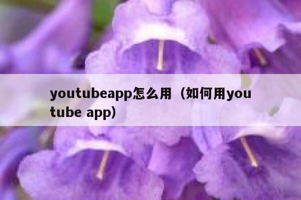 youtubeapp怎么用（如何用youtube app） 第1张