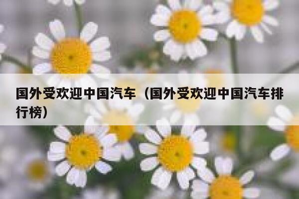 国外受欢迎中国汽车（国外受欢迎中国汽车排行榜） 第1张