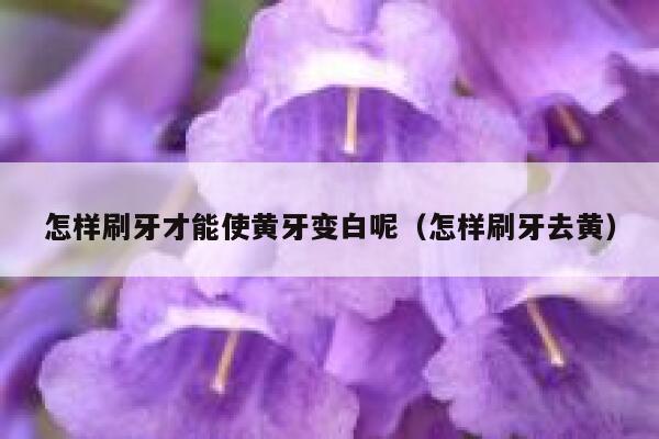 怎样刷牙才能使黄牙变白呢（怎样刷牙去黄） 第1张