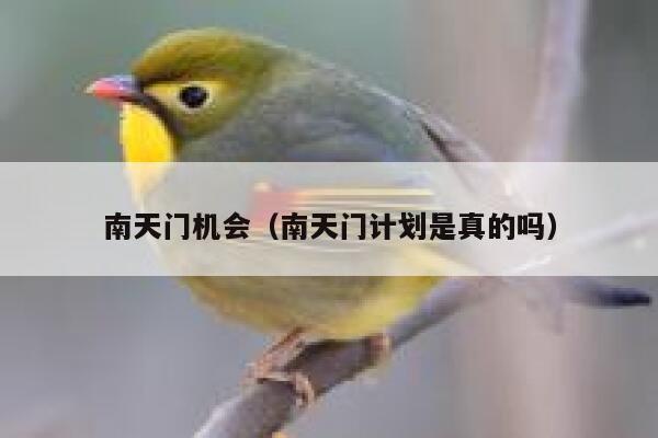 南天门机会（南天门计划是真的吗） 第1张