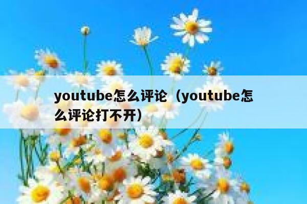 youtube怎么评论（youtube怎么评论打不开） 第1张