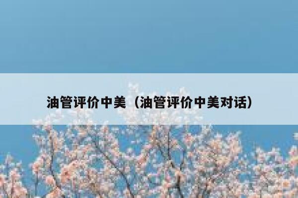 油管评价中美（油管评价中美对话） 第1张
