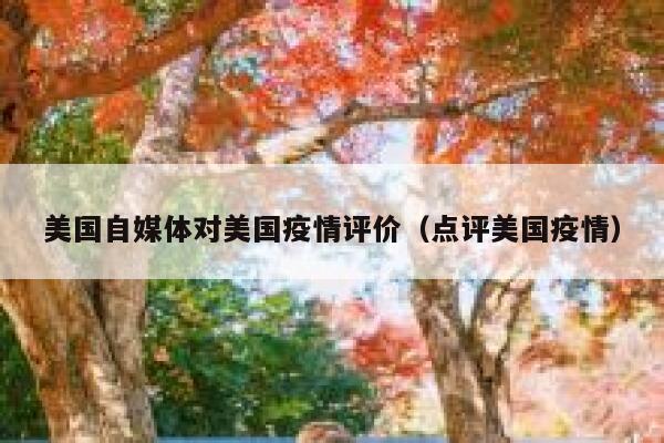 美国自媒体对美国疫情评价（点评美国疫情） 第1张