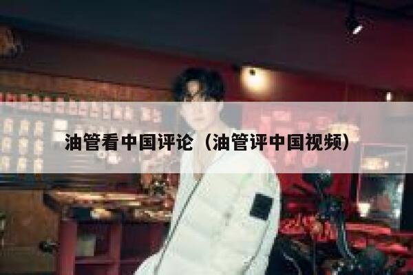 油管看中国评论（油管评中国视频） 第1张