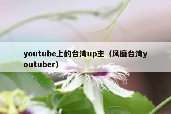 youtube上的台湾up主（风靡台湾youtuber） 第1张