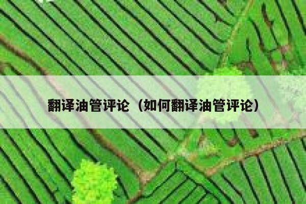翻译油管评论（如何翻译油管评论） 第1张