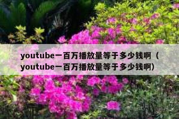 youtube一百万播放量等于多少钱啊（youtube一百万播放量等于多少钱啊） 第1张