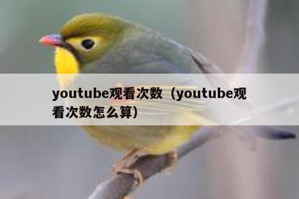 youtube观看次数（youtube观看次数怎么算） 第1张
