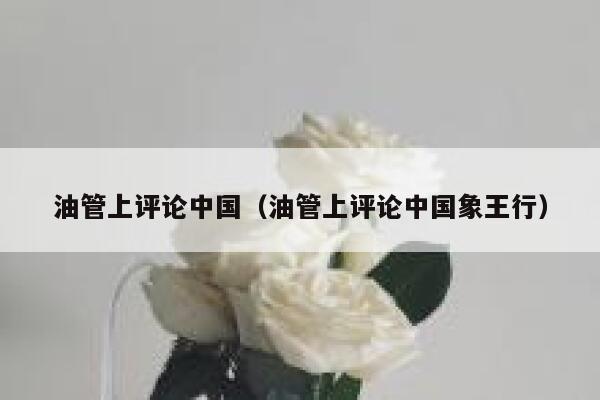 油管上评论中国（油管上评论中国象王行） 第1张