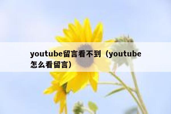youtube留言看不到（youtube怎么看留言） 第1张