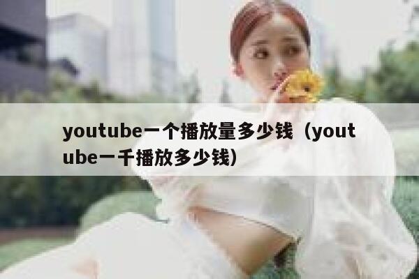 youtube一个播放量多少钱（youtube一千播放多少钱） 第1张