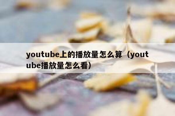 youtube上的播放量怎么算（youtube播放量怎么看） 第1张