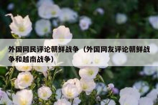 外国网民评论朝鲜战争（外国网友评论朝鲜战争和越南战争） 第1张