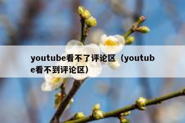 youtube看不了评论区（youtube看不到评论区） 第1张