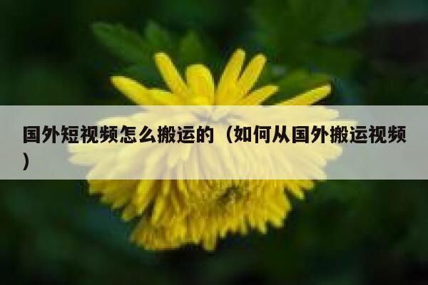 国外短视频怎么搬运的（如何从国外搬运视频） 第1张