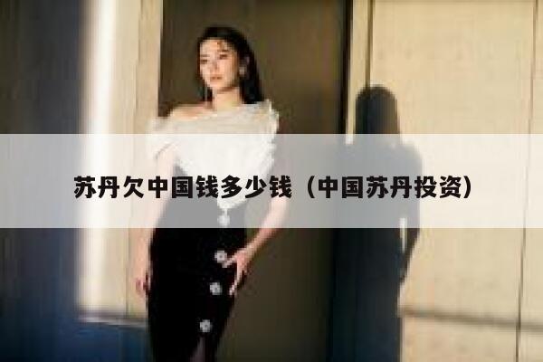苏丹欠中国钱多少钱（中国苏丹投资） 第1张