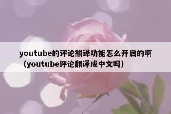 youtube的评论翻译功能怎么开启的啊（youtube评论翻译成中文吗） 第1张