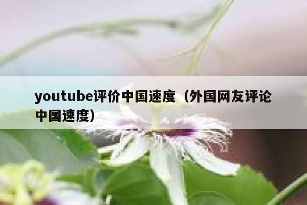 youtube评价中国速度（外国网友评论中国速度） 第1张